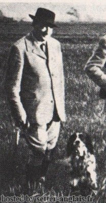 Setter Anglais TELL68 Setter Anglais TELL68