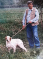 Setter Anglais BRIO Setter Anglais BRIO