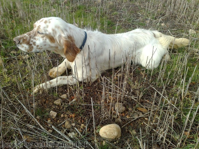 Huppe x1 pdf Huppe x1 pdf